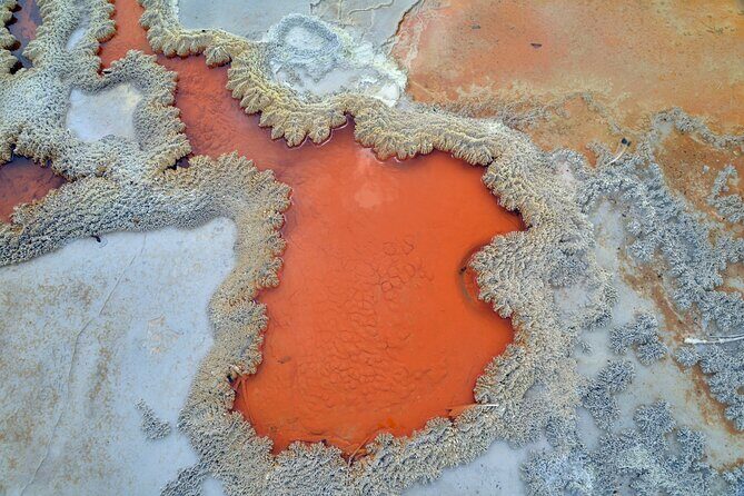 From Auckland, Rotorua Waiotapu and Maori Village Tour with Haka - Key Points