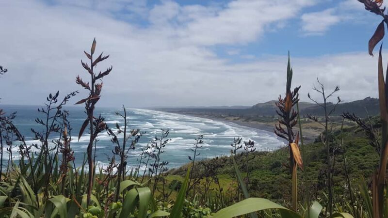 From Auckland: Small Group Kumeu Wine Tour with Lunch - Is This Tour Right for You?