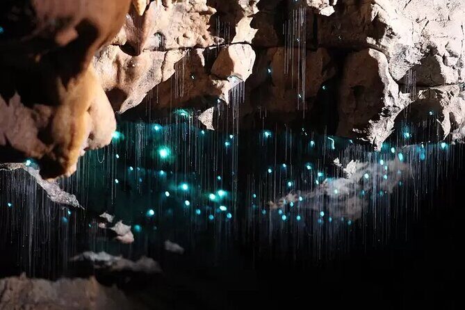 From Auckland: Spellbound, Waitomo Glowworm Cave Small Group Tour - Frequently Asked Questions