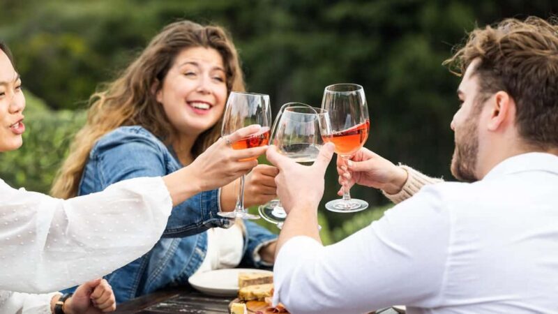 From Auckland: Taste Of Waiheke Island Day Tour - Who Should Consider Alternatives?