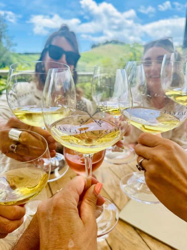 From Auckland: Waiheke Island Wineries' Tour - Why the Tour Offers Great Value