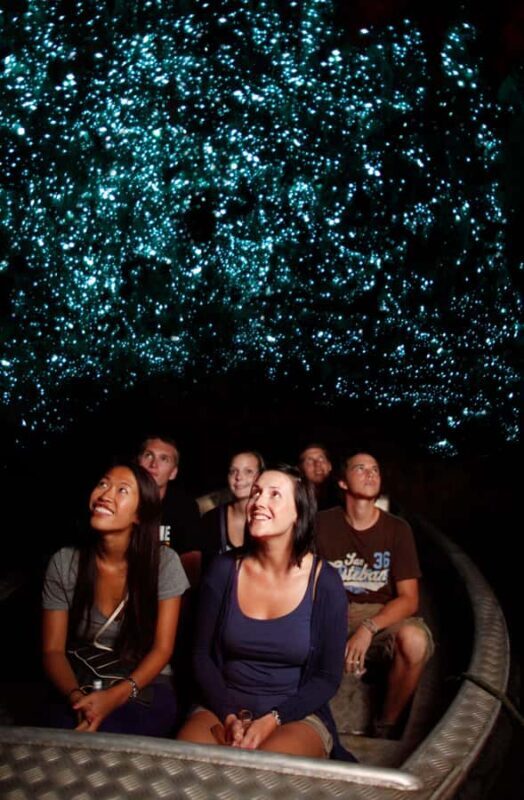 From Auckland: Waitomo Caves and Kiwi House Group Tour - Key Points