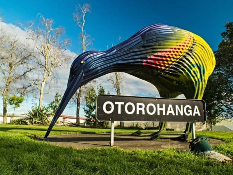 From Auckland: Waitomo Caves and Kiwi House Group Tour - Final Thoughts