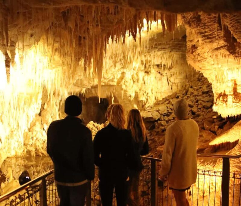 From Auckland: Waitomo Glow Worm Caves & Rotorua Tour - Key Points