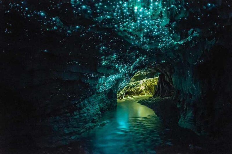 From Auckland: Waitomo Glow Worm Caves & Rotorua Tour - An In-Depth Look at the Tour Experience