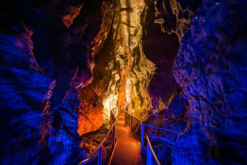 From Auckland: Waitomo Glowworm and Ruakuri Caves Day Tour - An In-Depth Look at the Tour Itself