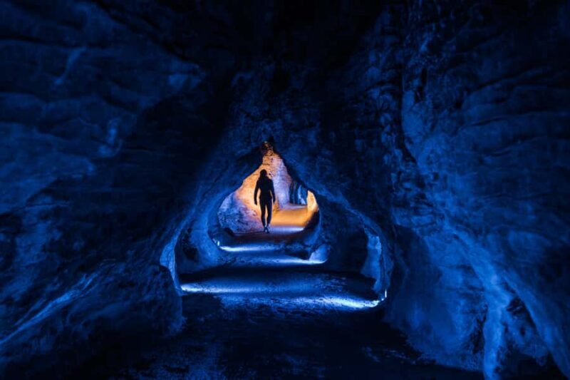 From Auckland: Waitomo Glowworm and Ruakuri Caves Day Tour - Who Will Love This Tour?