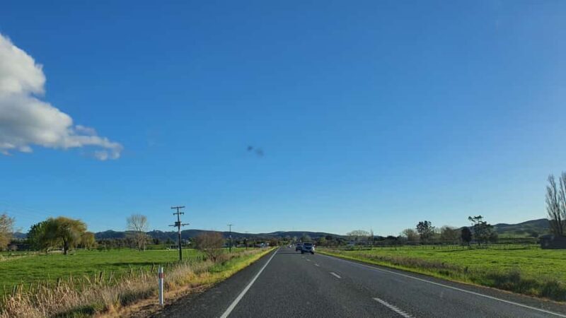 From Auckland: Waitomo Glowworm Cave Tour - Introduction