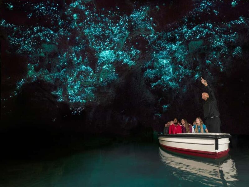 From Auckland: Waitomo Glowworm Cave Tour - The Itinerary Breakdown