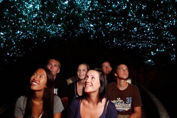 From Auckland:Hobbiton Movie Set & Waitomo Caves Small Group Tour - Who Will Love This Tour?