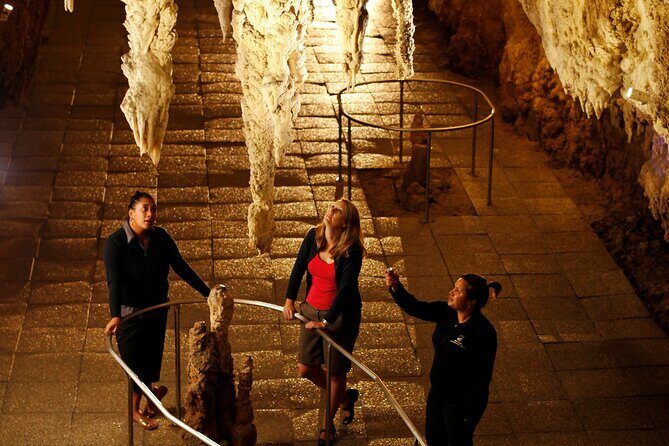 From Auckland:Hobbiton Movie Set & Waitomo Caves Small Group Tour - FAQ