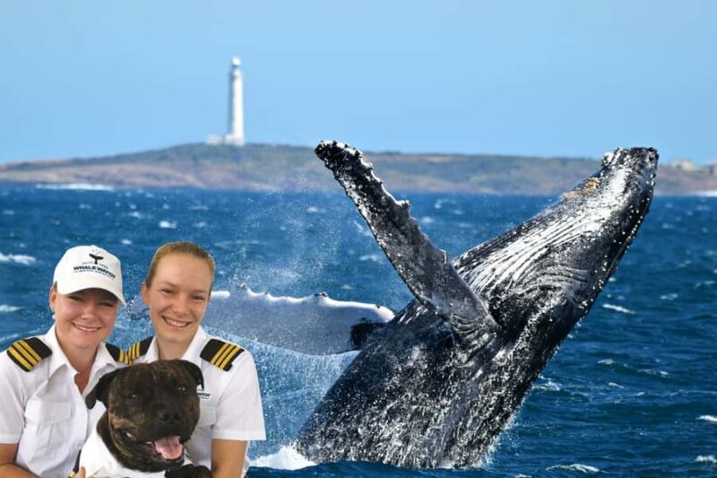 From Augusta: Whale Watching Award Winning Tour - Key Points