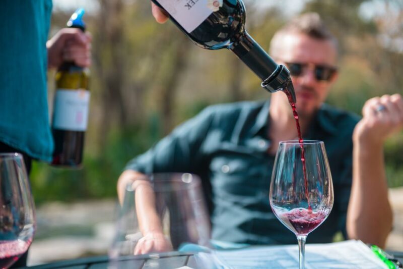 From Austin: Half-Day Hill Country Wine Shuttle - The Itinerary in Detail: What to Expect
