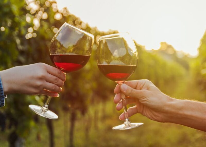 From Austin: Half-Day Hill Country Wine Shuttle - Who Will Love This Tour?