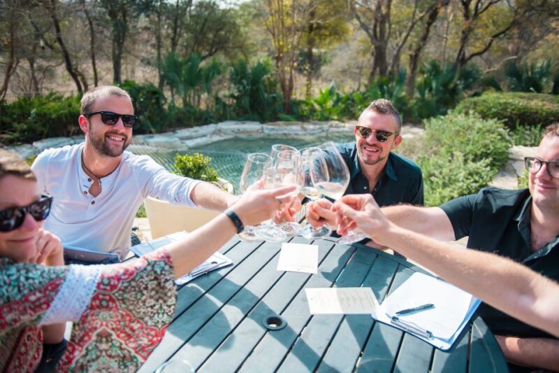 From Austin: Hill Country BBQ & Wine Shuttle - Who Should Consider This Tour?