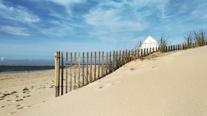 From Aveiro: Barra Beach Lighthouse & Costa Nova Guided Tour - Who Will Love This Tour?