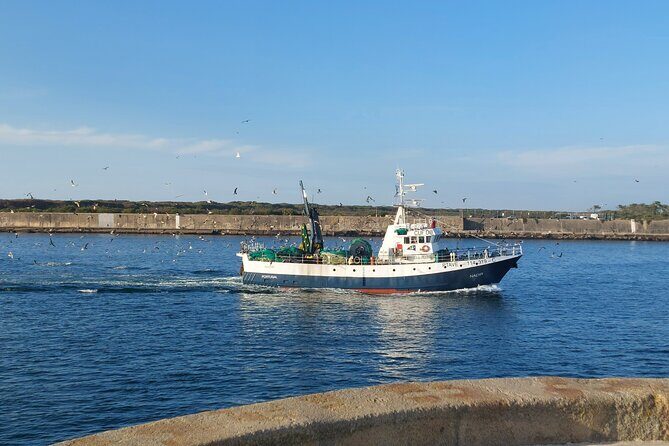 From Aveiro: Costa Nova, Barra, Vista Alegre - Half-Day Trip - An In-Depth Review of the Tour Experience