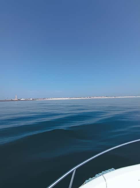 From Aveiro to the Beaches by Boat - Practical Tips for Travelers