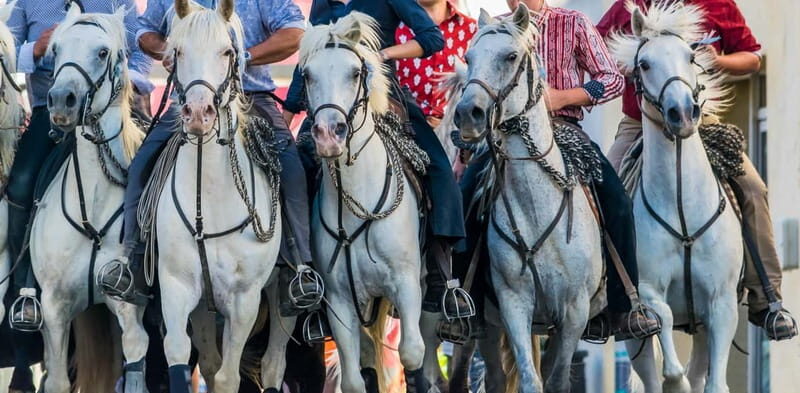 From Avignon: Camargue Tour with Pont de Gau Bird Park Entry - FAQ