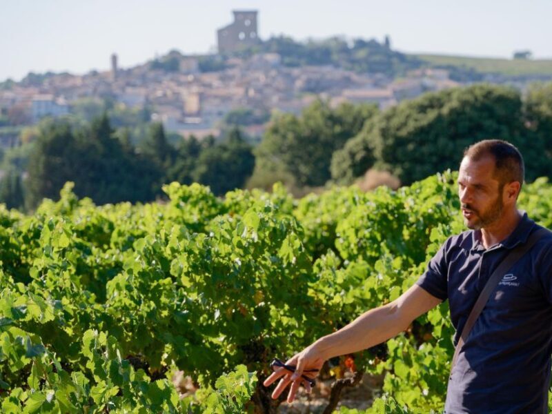 From Avignon: Châteauneuf du Pape Half-Day Wine Tour - FAQ