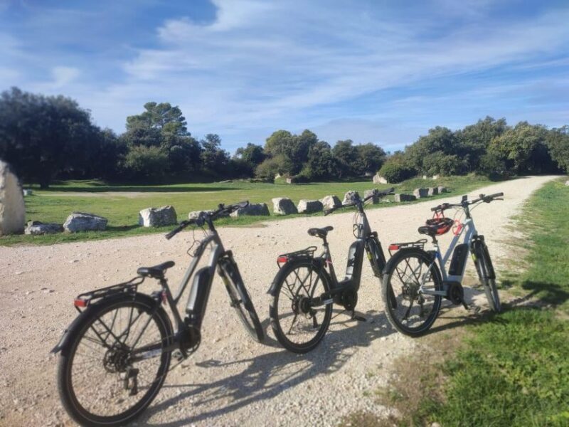 From Avignon: Full-Day E-Bike Tour in the Luberon Region - FAQ