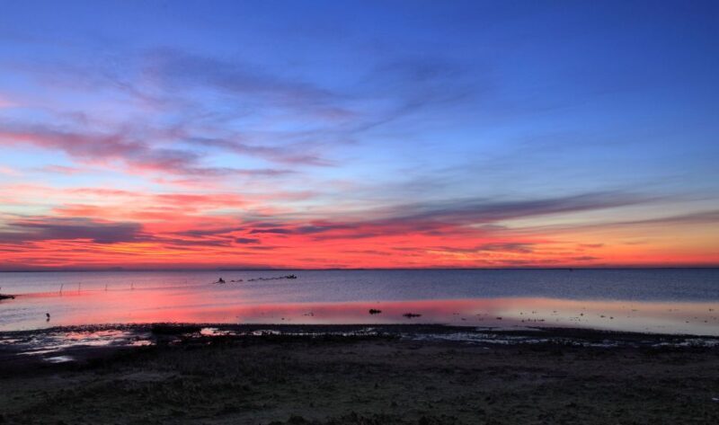 From Avignon: Half-Day Camargue and Saintes-Maries-de-la-Mer - Who Will Love This Tour?