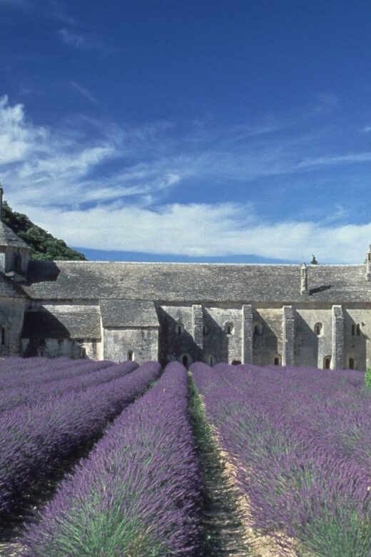 From Avignon: Half-Day Hilltop Villages of Luberon - An In-Depth Look at the Luberon Villages Tour