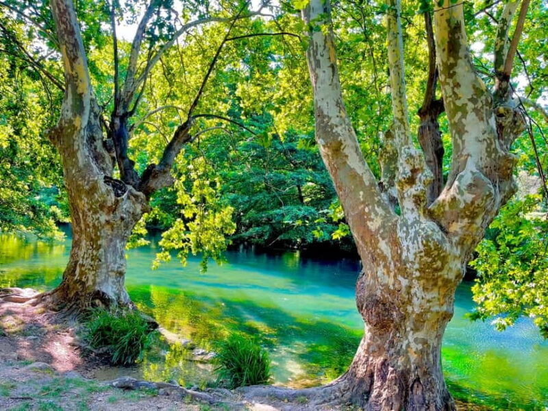 From Avignon: Provence Highlights Full-Day Tour - Introduction to the Tour Experience