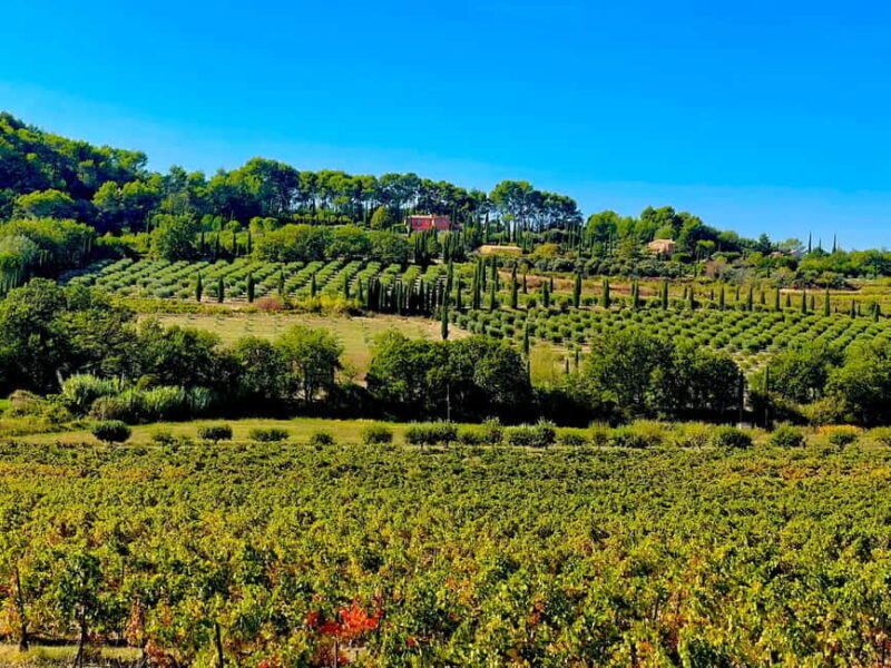 From Avignon: Provence Highlights Full-Day Tour - FAQ