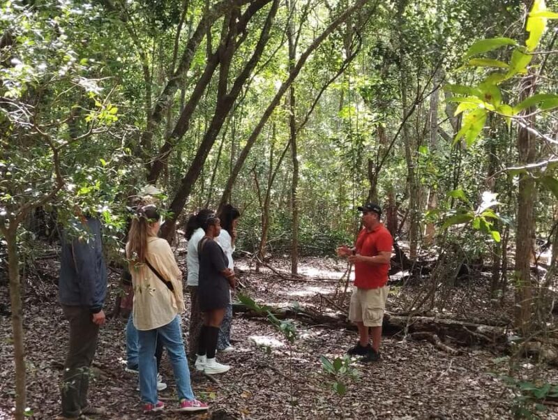 From Bacalar: Calakmul Ruins Expedition & Jungle Trek - Who Will Love This Tour?