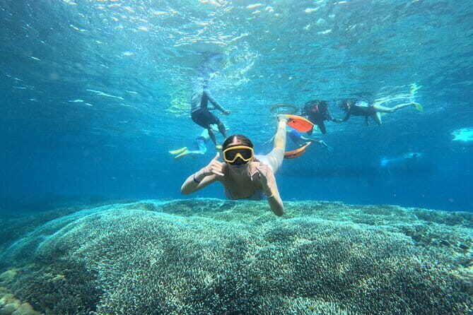 From Bali: Nusa Penida Full Day Tour and Snorkeling - Who Is This Tour Best For?