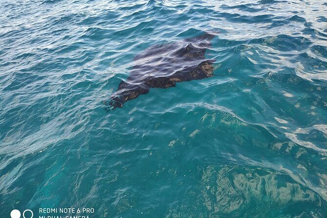 From Bali One Day Nusa Penida Tours with Manta Rays Snorkeling - Final Thoughts: Is This Tour Worth It?