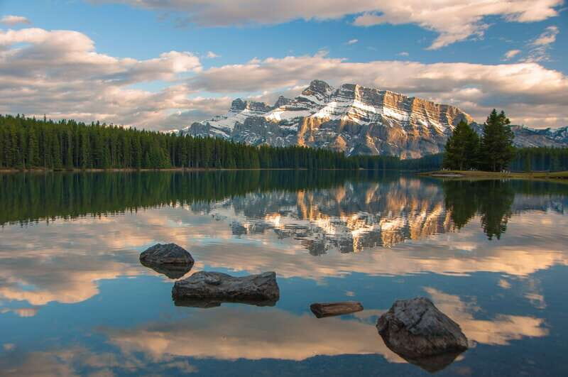 From Banff: Banff Wildlife & Scenic Highlights Premium Tour - Guides and Their Impact