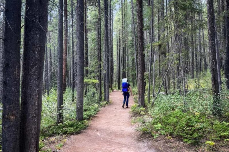 From Banff: Grassi Lake and Grotto Canyon Half day tour - An In-Depth Look at the Tour Experience