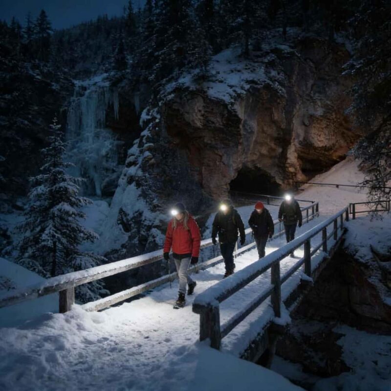 From Banff Guided Johnston Canyon Night Walk and Stargazing - Key Points