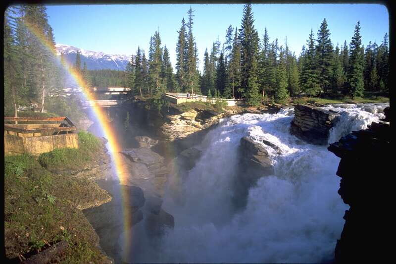 From Banff/Lake Louise: 1-Way Sightseeing Tour to Jasper - Who Would Enjoy This Tour?