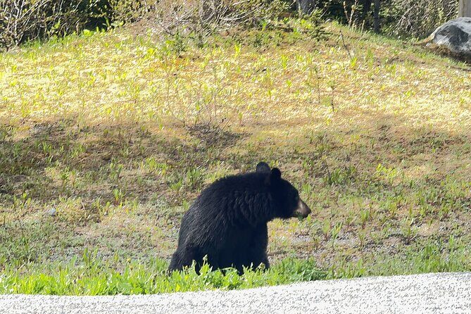 From Banff: Shuttle Service to Moraine Lake & Lake Louise - Cost and Value for Money