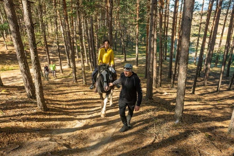 From Bansko: Horse Riding Experience - Final Thoughts