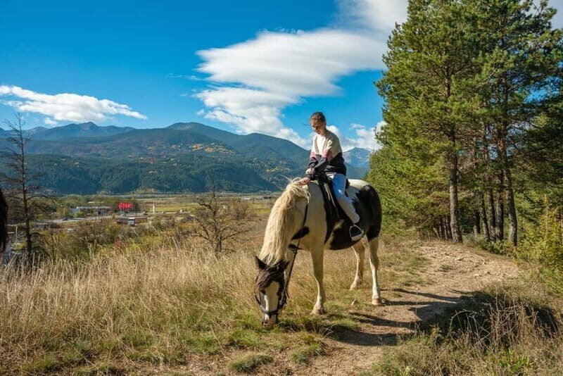 From Bansko: Horse Riding Experience - Frequently Asked Questions