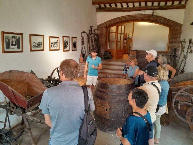 From Barcelona: 3 wineries with hotel pick-up and Lunch - Who Will Enjoy This Tour?