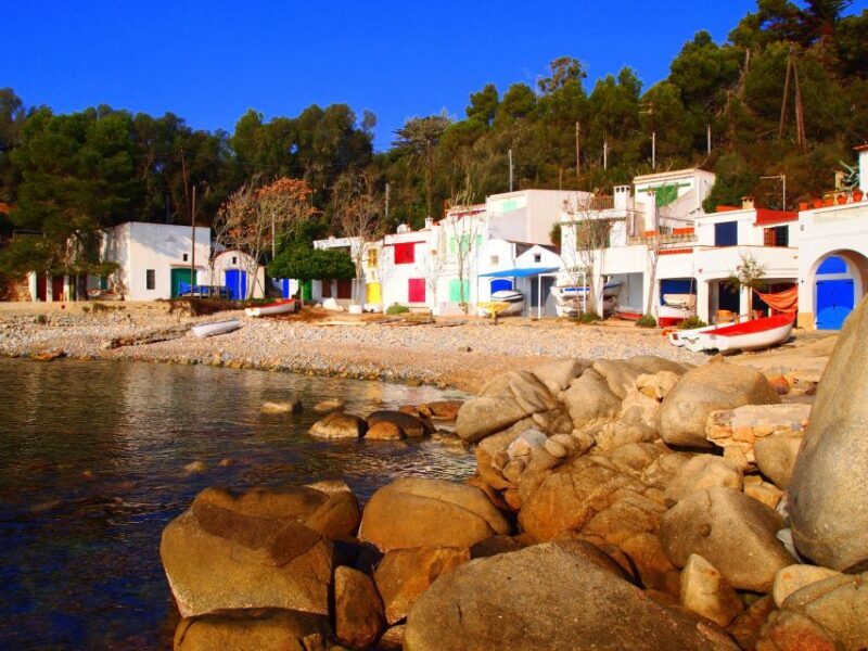 From Barcelona: Costa Brava and Girona Small-Group Tour - Pricing and Overall Value