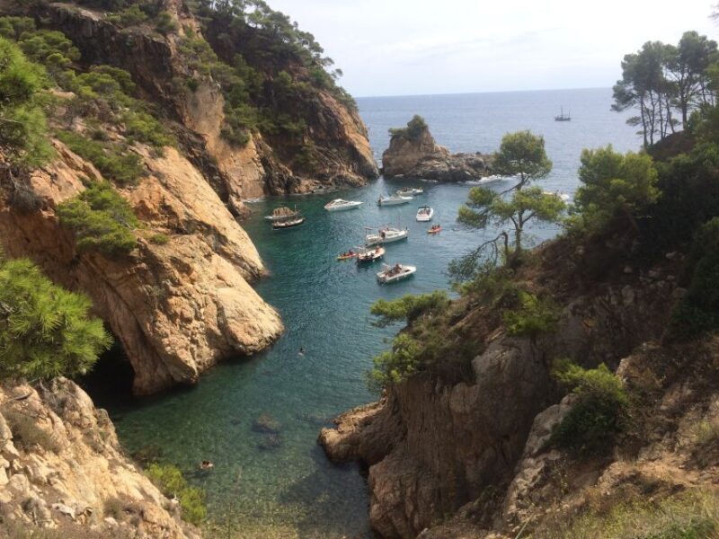 From Barcelona: Costa Brava Hike, Snorkel & Tossa de Mar - A Deep Dive into the Tour Experience