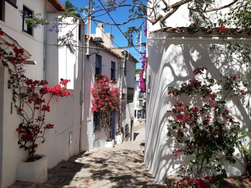 From Barcelona: Costa Brava Typical Towns full day tour - Practical Tips