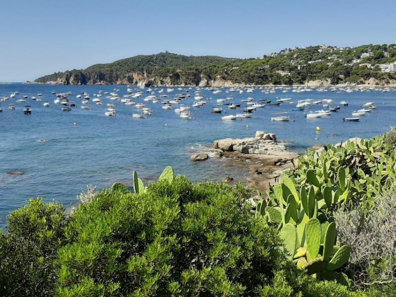 From Barcelona: Costa Brava Typical Towns full day tour - Final Thoughts: Is This Tour Worth It?