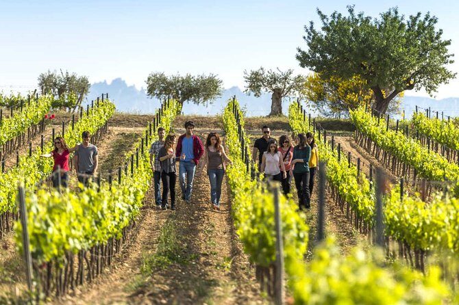 From Barcelona: El Penedès Hike & Wines - Who Should Book This Tour?