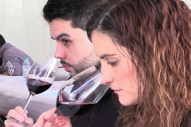 From Barcelona: El Penedès Hike & Wines - Practical Details and Tips