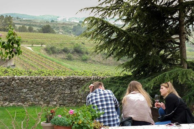 From Barcelona: El Penedès Hike & Wines - What Reviewers Love Most