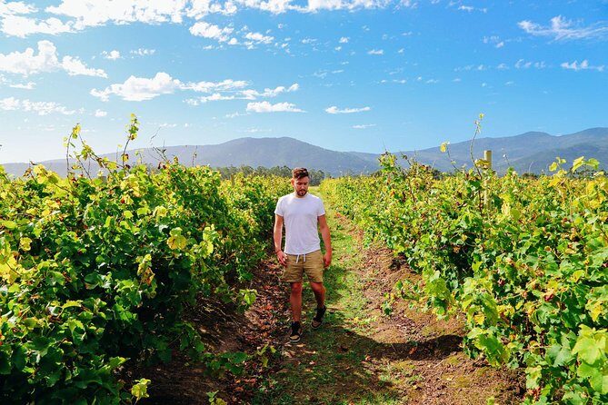 From Barcelona: El Penedès Hike & Wines - Final Thoughts: Is This Tour Right for You?