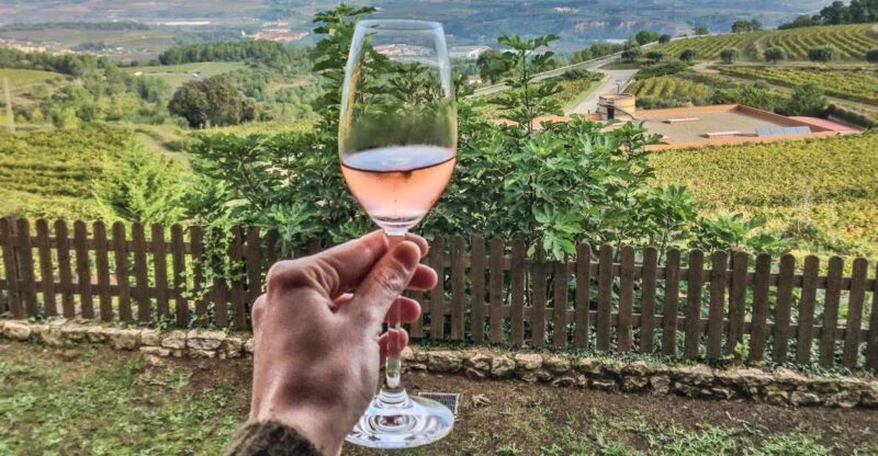 From Barcelona: Montserrat Lunch & Wine Tasting in Vineyard - The Journey Begins: Pickup and Transport