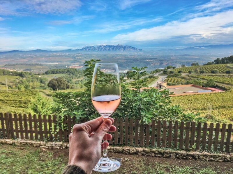 From Barcelona: Montserrat Lunch & Wine Tasting in Vineyard - Market, Lunch, and Scenic Overlooks
